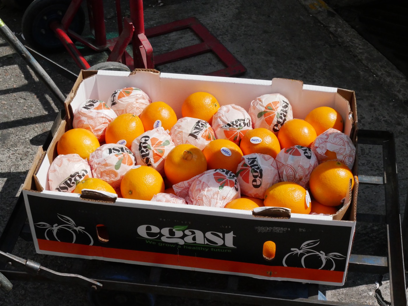 Valencia Oranges