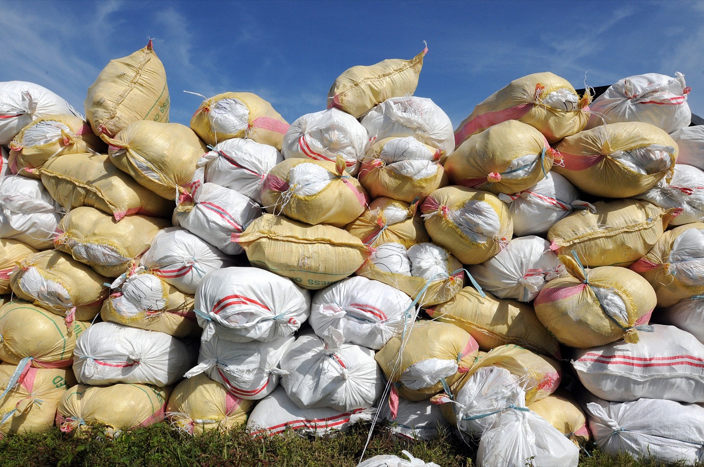 Plastic Sacks, Bags and Flexible Packaging