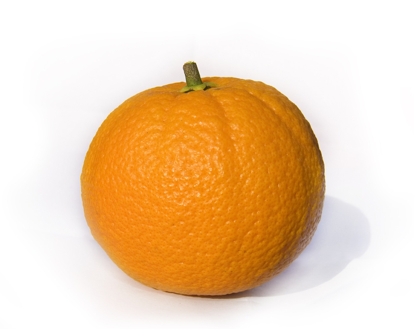 Washington Navel Oranges
